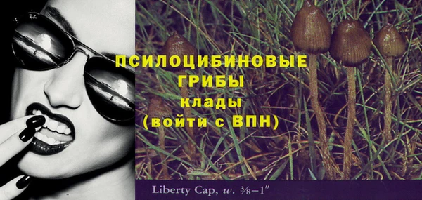 прущие крисы Коряжма