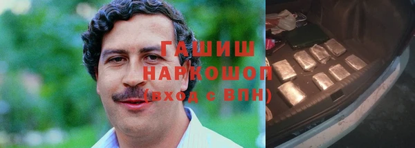 гидра Корсаков