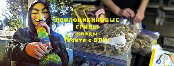 гидра Корсаков