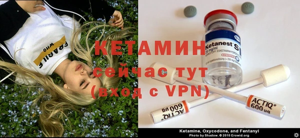 гидра Корсаков