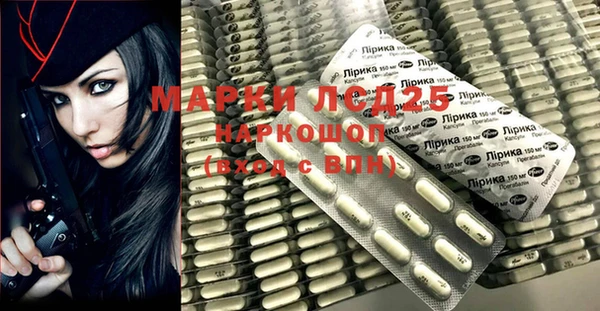гидра Корсаков