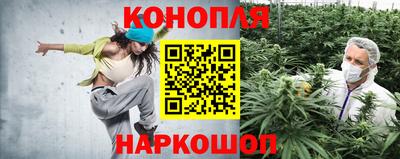 стафф Можга