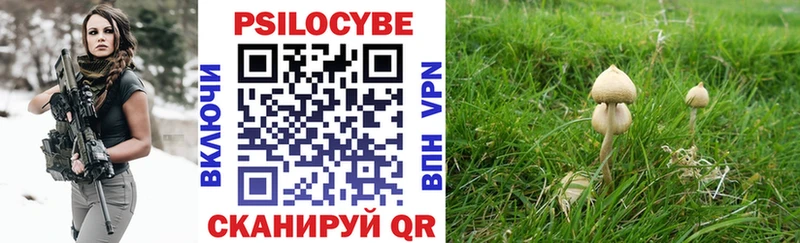 Псилоцибиновые грибы мицелий  Липецк 