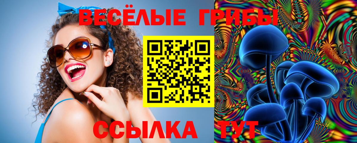 Псилоцибиновые грибы прущие грибы Липецк