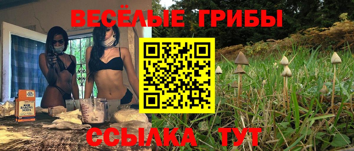 Галлюциногенные грибы GOLDEN TEACHER  Галлюциногенные грибы ЛСД  Вход с VPN  Липецк 