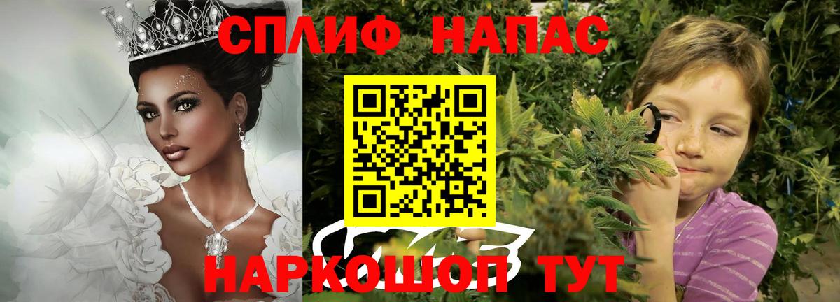 Шишки марихуана семена Липецк
